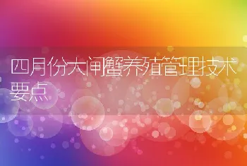 四月份大闸蟹养殖管理技术要点