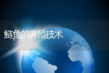 鲢鱼的养殖技术