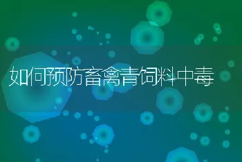 如何预防畜禽青饲料中毒