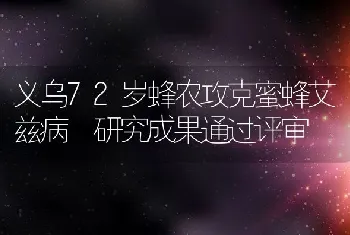 义乌72岁蜂农攻克蜜蜂艾兹病 研究成果通过评审