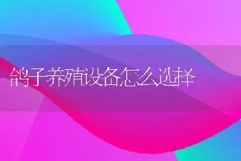 鸽子养殖设备怎么选择