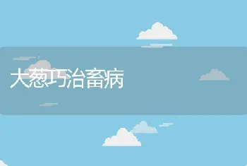 大葱巧治畜病