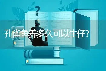 孔雀鱼养多久可以生仔？