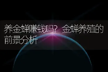 养金蝉赚钱吗?金蝉养殖的前景分析