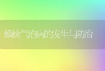 蟾蜍气泡病的发生与防治