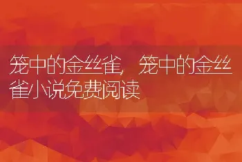 笼中的金丝雀，笼中的金丝雀小说免费阅读