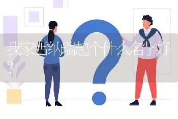 冬天了，小博美犬睡在阳台会冷吗?有棉窝窝？