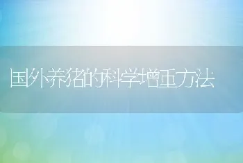 国外养猪的科学增重方法