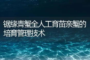 锯缘青蟹全人工育苗亲蟹的培育管理技术