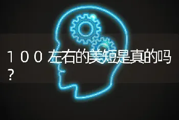 100左右的美短是真的吗？