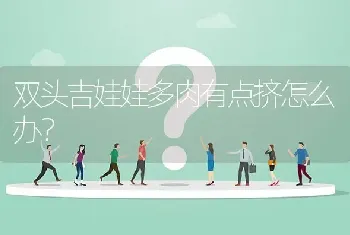 双头吉娃娃多肉有点挤怎么办？