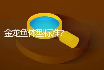 金龙鱼体型标准？