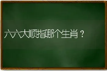 六六大顺指哪个生肖？