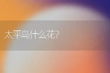 太平鸟什么花？