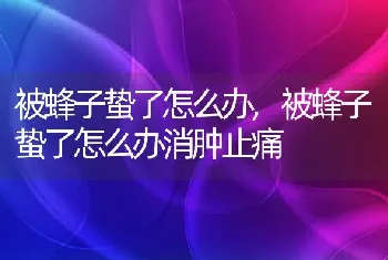 被蜂子蛰了怎么办，被蜂子蛰了怎么办消肿止痛