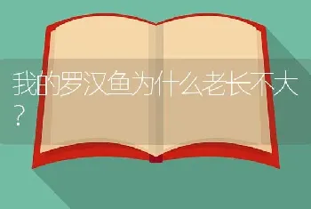 我的罗汉鱼为什么老长不大？