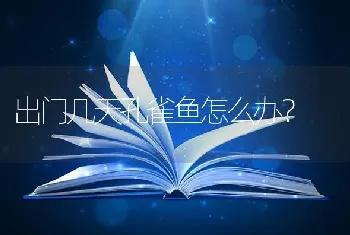 出门几天孔雀鱼怎么办？