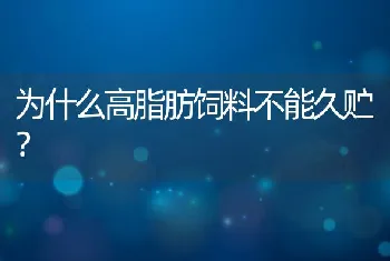 为什么高脂肪饲料不能久贮？