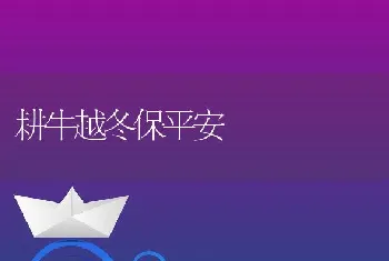 九招解决蛙类饲料