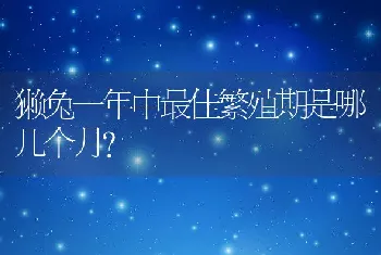 獭兔一年中最佳繁殖期是哪几个月？