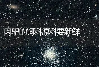 肉驴的饲料原料要新鲜