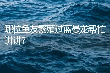 哪位鱼友繁殖过蓝曼龙帮忙讲讲？