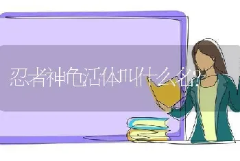 忍者神龟活体叫什么名？