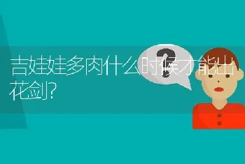 吉娃娃多肉什么时候才能出花剑？