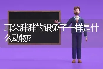 狗狗得细小死后多久可以养新狗狗？