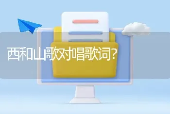 西和山歌对唱歌词？