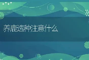 养鹿选种注意什么