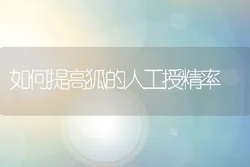 如何提高狐的人工授精率