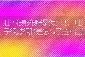 肚子很鼓很胀是怎么了，肚子很鼓很胀是怎么了拉不出屎