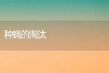 种蝇的淘汰