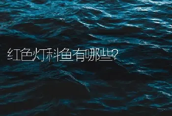 红色灯科鱼有哪些？