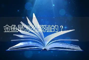 金鱼是怎么繁殖的？