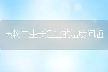 黄粉虫生长适宜的温度问题