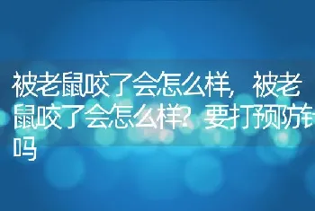 被老鼠咬了会怎么样，被老鼠咬了会怎么样？要打预防针吗