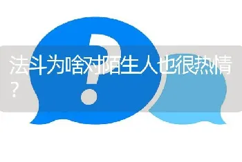 法斗为啥对陌生人也很热情？