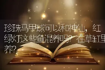 珍珠马甲球可以和神仙，红绿灯这些鱼混养吗？在草缸里养？