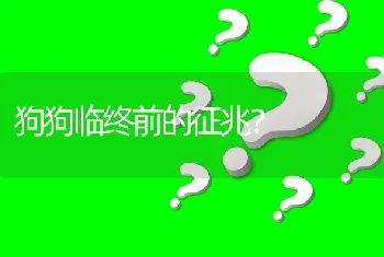 狗狗临终前的征兆？