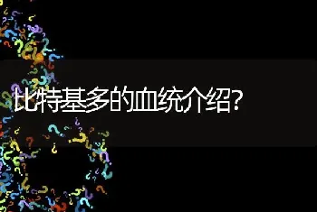 比特基多的血统介绍？