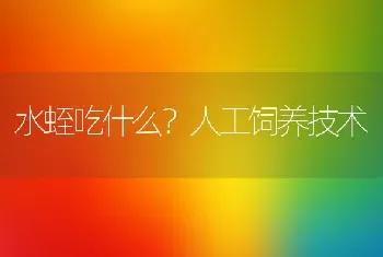 水蛭吃什么？人工饲养技术