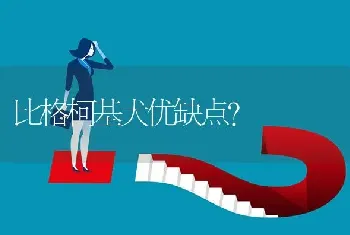 比格柯基犬优缺点？