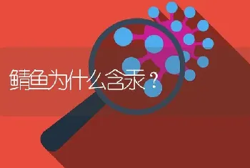 鲭鱼为什么含汞？