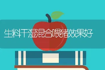 生料干湿混合喂猪效果好