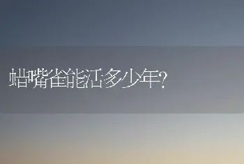 蜡嘴雀能活多少年？