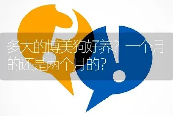 多大的博美狗好养？一个月的还是两个月的？