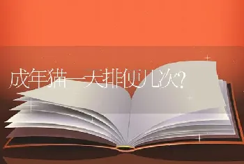 成年猫一天排便几次？