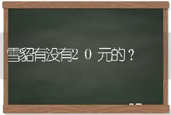 雪貂有没有20元的？